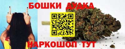 МДПВ Будённовск