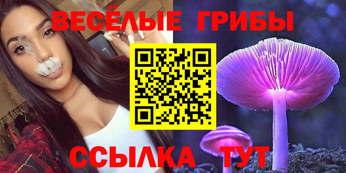 Псилоцибиновые грибы Cubensis Бирск