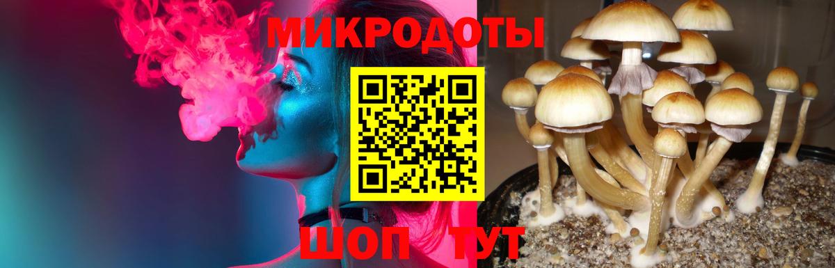 Галлюциногенные грибы Cubensis  Псилоцибиновые грибы мухоморы  Вход с VPN  хочу   Бирск 